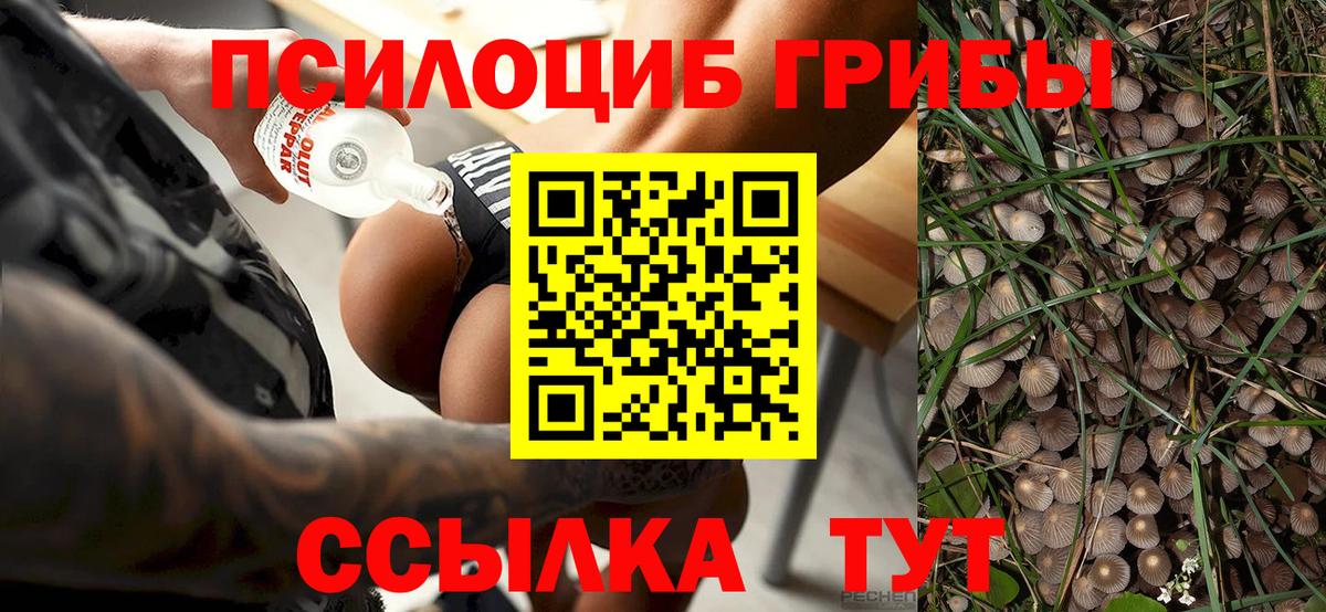 Псилоцибиновые грибы Cubensis  Вход с VPN  Галлюциногенные грибы мицелий  Вязьма 
