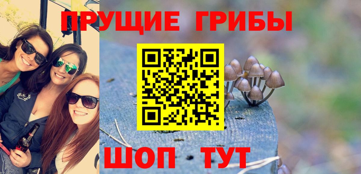 Псилоцибиновые грибы мухоморы Вязьма